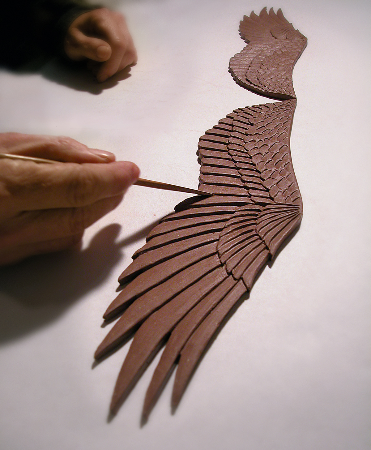 Ann Hawk Wing